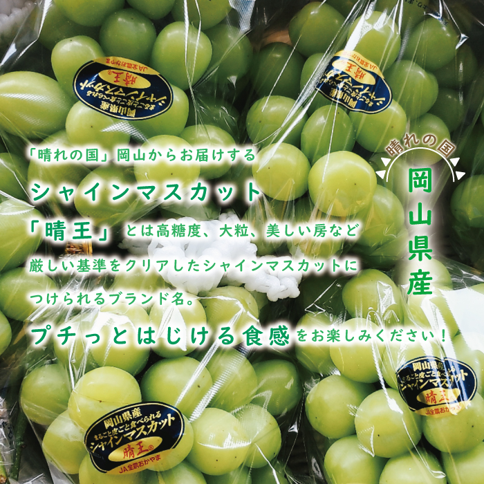 まとめ買い特価 ぶどう シャインマスカット 定期便 晴王 10回発送 岡山県産 fucoa.cl