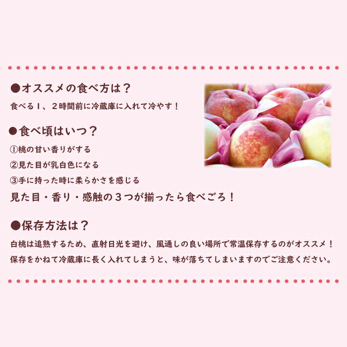 市場 ふるさと納税 令和5年産 白桃 先行受付