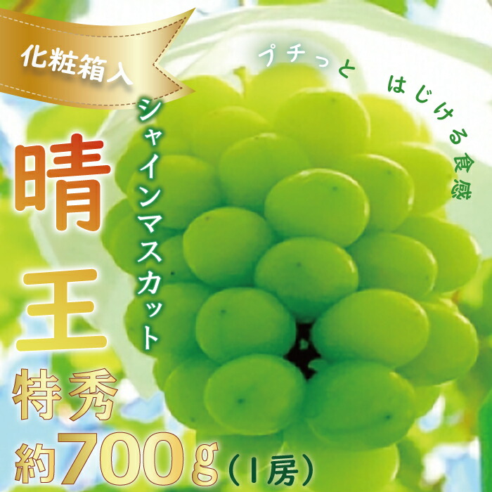 限定特価 ぶどう シャインマスカット 晴王 1房 700g 特秀品 化粧箱入 岡山県産 fucoa.cl