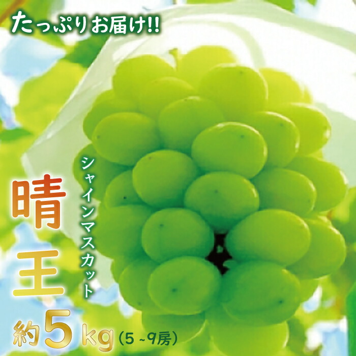 ぶどう シャインマスカット 晴王 5kg 岡山県産