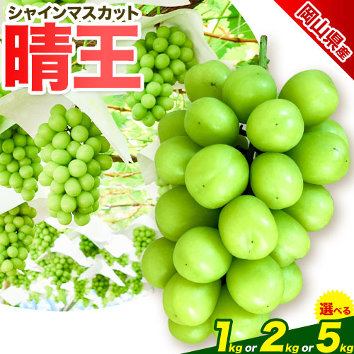 【ふるさと納税】ぶどう 岡山県産【秀品】シャインマスカット晴王 選べる内容量 1kg(2房)  2kg(3～4房) 5kg(6～8房) 梅木商店《9月-11月末頃出荷》岡山県 備前市 ぶどう 葡萄