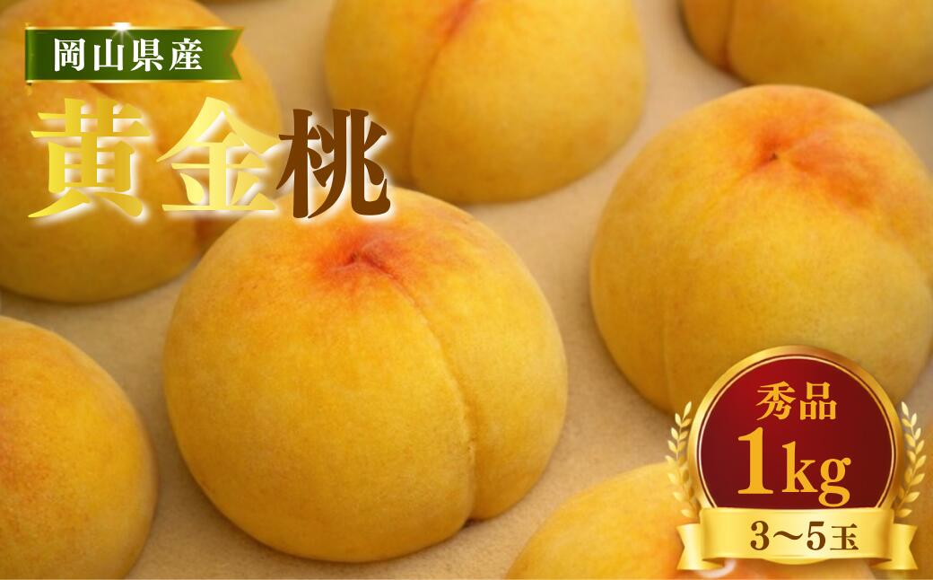 【先行受付】黄桃1kg | 岡山県産 黄金桃 桃 フルーツ 果物 高級フルーツ 岡山 桃 お取り寄せ 産地直送 希少品種 国産フルーツ 黄金桃 人気 数量限定 旬の果物 甘い ジューシー 芳醇 みずみずしい 夏の味覚 先行予約|岡山県瀬戸内市