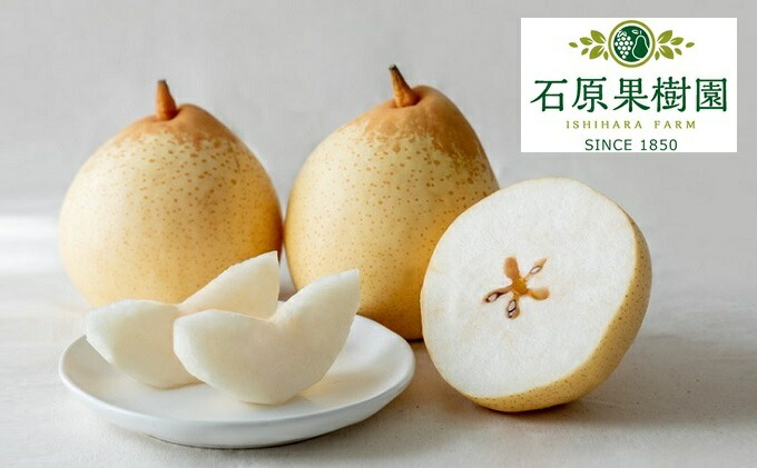 特価商品 秋王 あきおう 1 5kg箱 4 6玉 Fucoa Cl