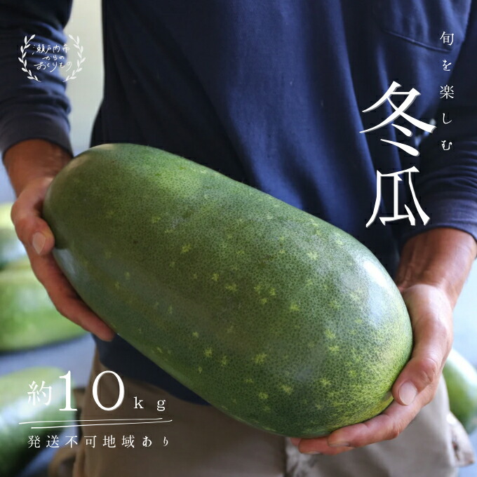 【ふるさと納税】冬瓜 （ とうがん ）約10kg 瀬戸内 牛窓産 野菜 夏野菜  　お届け：2025年8月上旬～2025年8月下旬