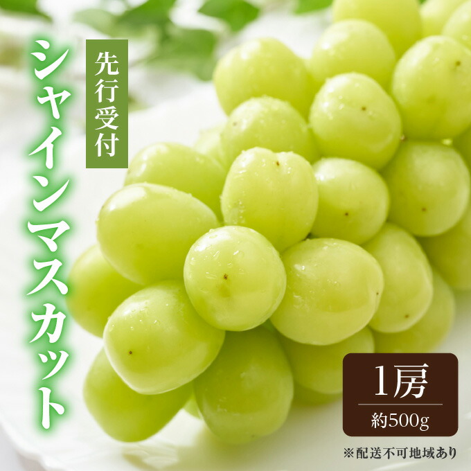 【ふるさと納税】ぶどう 2025年 先行予約 シャイン マスカット 1房 約500g ブドウ 葡萄  岡山県産 国産 フルーツ 果物 ギフト 　お届け：2025年8月下旬～2025年9月下旬