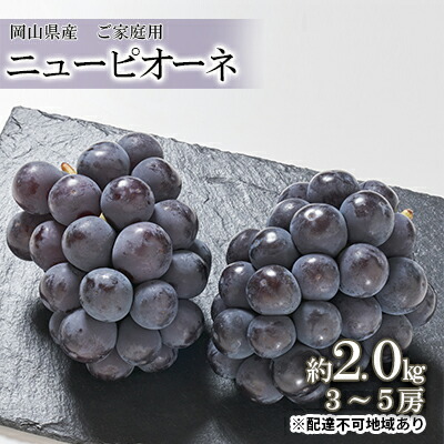 【ふるさと納税】ぶどう 2025年 先行予約 ご家庭用 ニュー ピオーネ 約2.0kg （3～5房） ブドウ 葡萄  岡山県産 国産 フルーツ 果物 　お届け：2025年8月下旬～2025年10月中旬