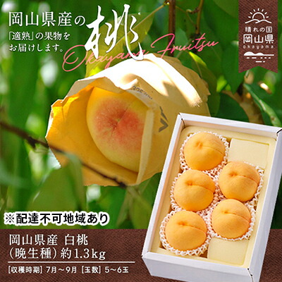 【ふるさと納税】桃 2025年 先行予約 白桃 晩生種 約1.3kg 5～6玉 もも モモ 岡山県産 国産 フルーツ 果物 ギフト  果肉 　お届け：2025年8月上旬～2025年9月中旬