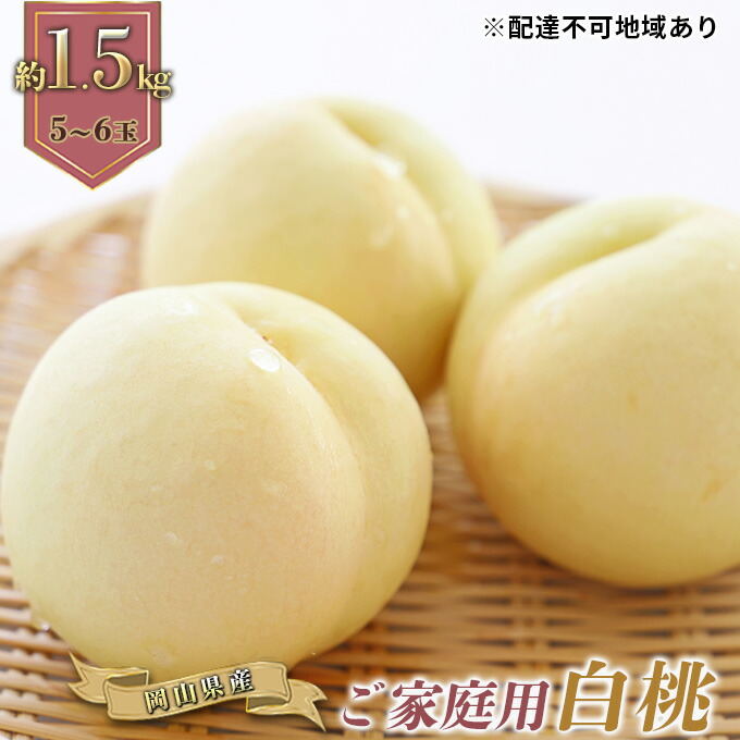 【ふるさと納税】桃 2025年 先行予約 ご家庭用 白桃（晩生種）5～6玉 合計約1.5kg もも モモ 岡山県産 国産 フルーツ 果物 ギフト 果肉 　お届け：2025年8月上旬～2025年8月下旬