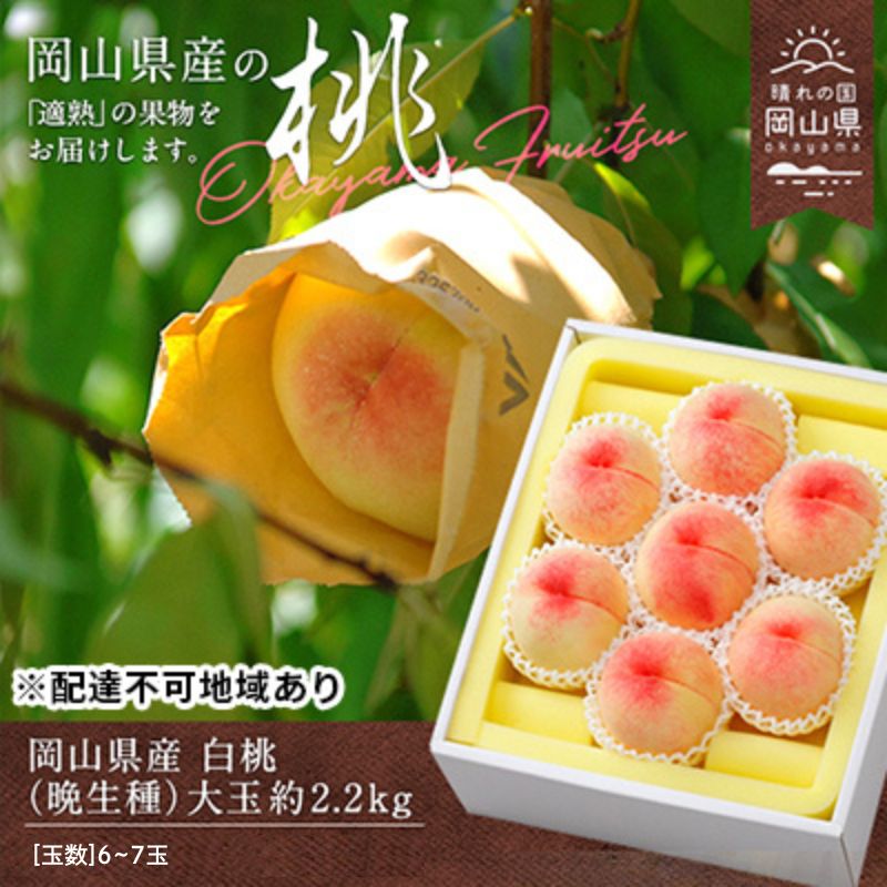 【ふるさと納税】桃 2025年 先行予約 白桃 晩生種 大玉 約2.2kg 6～7玉 もも モモ 岡山県産 国産 フルーツ 果物 ギフト  果肉 　お届け：2025年8月上旬～2025年9月中旬