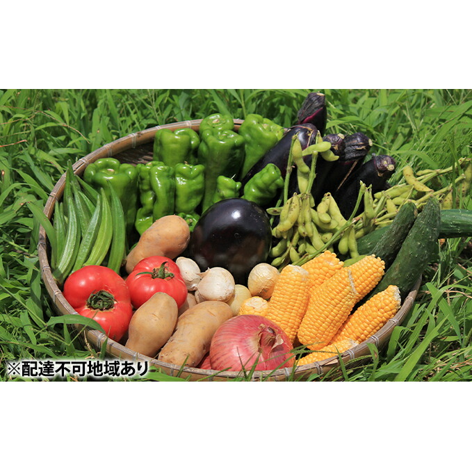 【ふるさと納税】甘味に自信あり！彩り 野菜 BOX（7種類）【配達不可：北海道・沖縄・離島】 セット 詰合せ