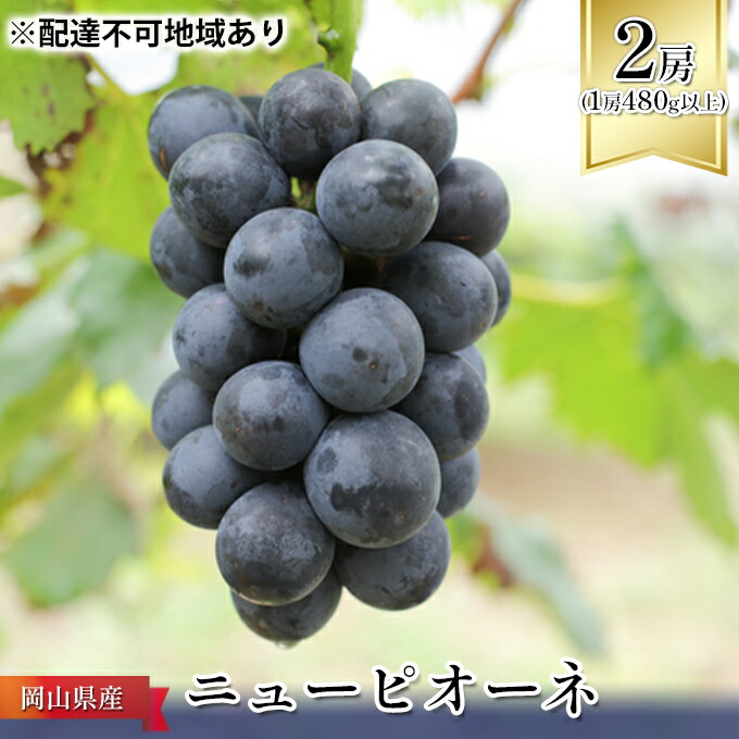 【ふるさと納税】ぶどう 2026年 先行予約 ニュー ピオーネ 2房（1房480g以上） ブドウ 葡萄 岡山県産 国産 フルーツ 果物 ギフト ニューピオーネ 化粧箱 贈答品 　お届け：2026年8月上旬～2026年9月下旬