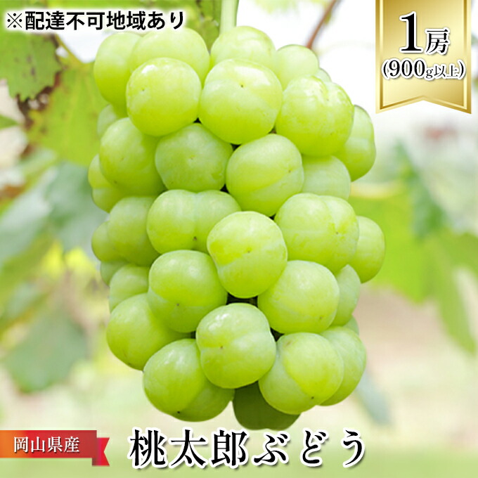【ふるさと納税】ぶどう 2026年 先行予約 桃太郎 ぶどう 1房(900g以上) ブドウ 葡萄 岡山県産 国産 フルーツ 果物 ギフト 化粧箱 贈答品 お届け:2026年7月中旬~2026年8月下旬
