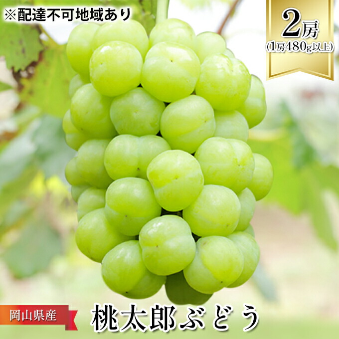 【ふるさと納税】ぶどう 2025年 先行予約 桃太郎 ぶどう 2房（1房480g以上） ブドウ 葡萄  岡山県産 国産 フルーツ 果物 ギフト 化粧箱 贈答品 　お届け：2025年7月中旬～2025年9月下旬
