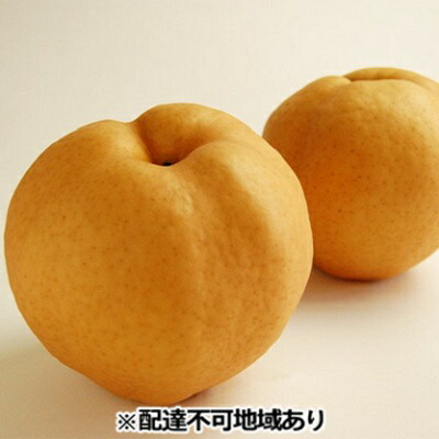 【ふるさと納税】梨 早期受付 岡山 の あたご 梨 2～3玉（2kg以上） 合計2kg以上 なし ナシ  岡山県産 国産 フルーツ 果物 ギフト桃茂実苑 あたご梨 糖度12.5度以上 2キロ 　お届け：2025年12月中旬～2025年12月下旬