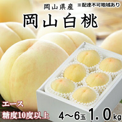 【ふるさと納税】桃 2025年 先行予約 岡山 白桃 エース 4～6玉 約1kg JAおかやまのもも（早生種・中生種） もも モモ 岡山県産 国産 フルーツ 果物 ギフト 　お届け：2025年7月上旬～2025年8月中旬