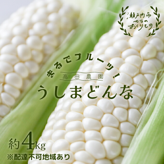 【ふるさと納税】 ［2025年先行予約］ まるでフルーツ！ 生で甘い、茹でて美味い！牛窓産 白色 とうもろこし 「うしまどんな」約4kg（8～12本入り） 野菜 ホワイトコーン 夏野菜 おやつ 間食 お弁当 バーベキュー BBQ 産地直送 　お届け：2025年6月下旬～2025年8月下旬