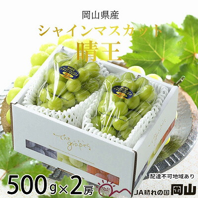 【ふるさと納税】ぶどう 2025年 先行予約 シャイン マスカット 晴王 約500g×2房 7月上旬～8月中旬発送 ブドウ 葡萄  岡山県産 国産 フルーツ 果物 ギフト 　お届け：2025年7月上旬～2025年8月中旬