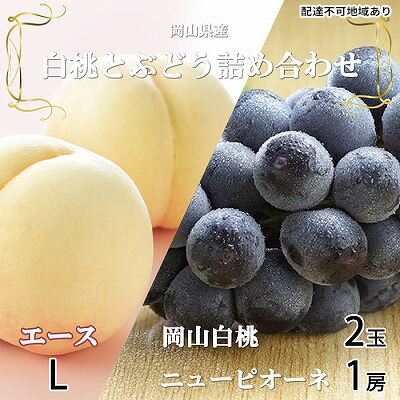 【ふるさと納税】岡山白桃 エース 2玉&times;約200g（Lサイズ、早生種・中生種）ニューピオーネ 1房約400g 詰合せ 岡山県産　【 果物類 ぶどう ブドウ 種なし もも モモ フルーツ デザート 食後 おやつ 産地直送 】　お届け：2026年7月上旬～2026年8月20日｜岡山県瀬戸内市
