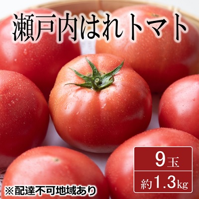 【ふるさと納税】期間限定【産地直送】瀬戸内はれトマト（桃太郎トマト）9玉 約1.3kg 野菜 夏野菜 リコピン 岡山県産 サラダ 料理 緑黄色野菜 　お届け：2025年6月9日頃～2025年8月1日頃