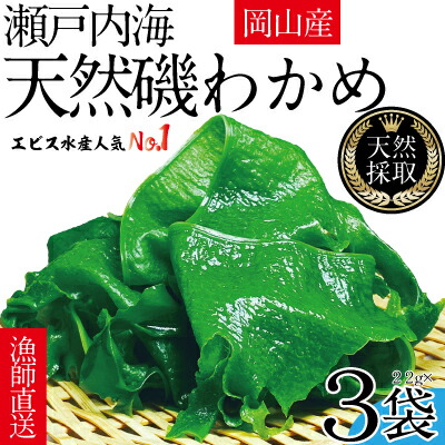 贈答 激安正規 風味豊かな 瀬戸内 わかめ 22g×3袋 エビス水産 2600uk.com 2600uk.com