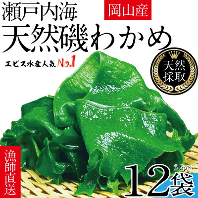 【ふるさと納税】風味豊かな 瀬戸内 わかめ 22g×12袋 エビス水産【岡山 瀬戸内海 天然 カットわかめ】 常備菜 無添加 無着色 味噌汁 炊き込み
