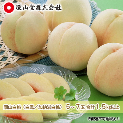 【ふるさと納税】桃 2025年 先行予約 岡山 白桃（品種：白鳳／加納岩白桃）5～7玉 合計1.5kg以上 もも モモ 岡山県産 国産 フルーツ 果物 ギフト 環山堂 直射日光 有袋栽培 上品 甘み 香り 豊か とろける 果汁 贈り物 　お届け：2025年7月上旬～2025年7月中旬
