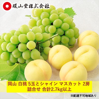 【ふるさと納税】桃 ぶどう 2025年 先行予約 岡山 白桃 5玉とシャイン マスカット 2房 詰合せ 合計2.7kg以上 もも 葡萄 岡山県産 国産 フルーツ 果物 ギフト 環山堂 上品 甘み 乳白色 人気 皮ごと 贈り物 セット 　お届け：2025年7月中旬～2025年8月上旬