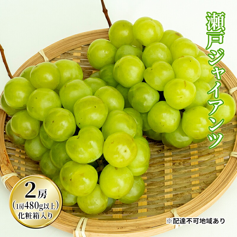 【ふるさと納税】ぶどう 2025年 先行予約 瀬戸 ジャイアンツ 2房（1房480g以上）約1kg 化粧箱入り ブドウ 葡萄  岡山県産 国産 フルーツ 果物 ギフト 薄皮 皮ごと 高糖度 酸味控えめ 甘酸っぱい 　お届け：2025年9月上旬～2025年9月下旬
