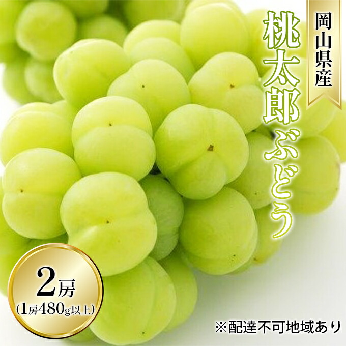 【ふるさと納税】ぶどう 2026年 先行予約 桃太郎 ぶどう 2房（1房 480g以上 露地栽培）贈答用 ブドウ 葡萄 岡山県産 国産 フルーツ 果物 ギフト 岡山の葡萄 　お届け：2026年9月上旬～2026年10月中旬