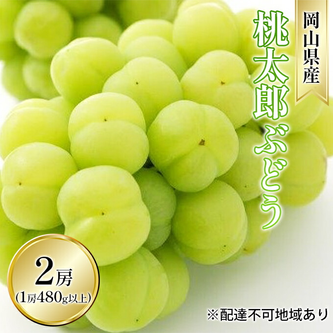 【ふるさと納税】ぶどう 2025年 先行予約 桃太郎 ぶどう 2房（1房 480g以上 ハウス栽培）贈答用 ブドウ 葡萄  岡山県産 国産 フルーツ 果物 ギフト 岡山の葡萄 　お届け：2025年7月上旬～2025年8月中旬