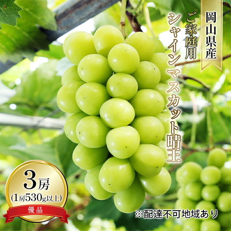 【ふるさと納税】ぶどう 2025年 先行予約 ご家庭用 シャイン マスカット 晴王 優品 3房入り（1房 530g以上 露地栽培） ブドウ 葡萄  岡山県産 国産 フルーツ 果物 岡山の葡萄 　お届け：2025年9月上旬～2025年10月中旬