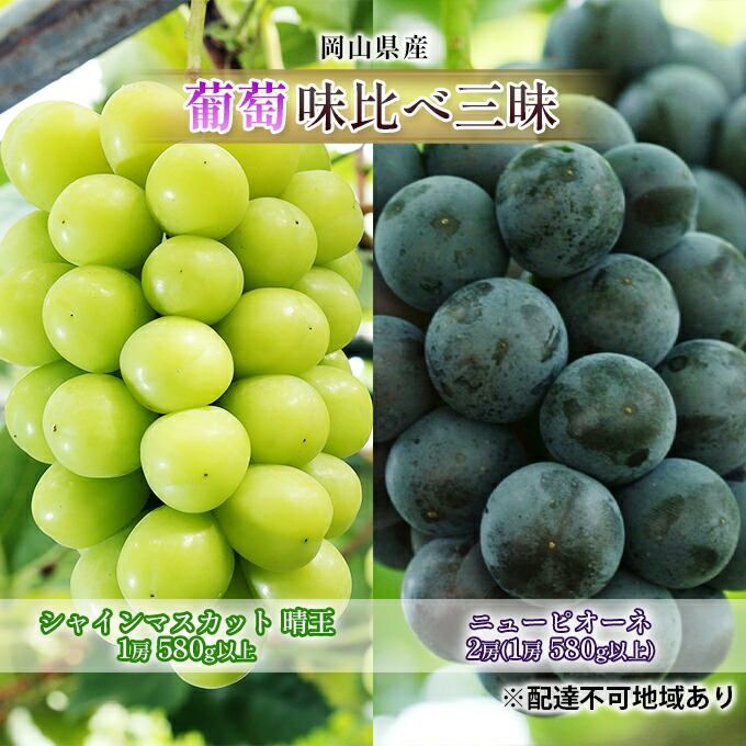 【ふるさと納税】ぶどう 2026年 先行予約 葡萄 味比べ三昧 シャイン マスカット 晴王 1房 580g以上 ニュー ピオーネ 2房（1房 580g以上）（露地栽培）詰合せ ブドウ 葡萄 岡山県産 国産 フルーツ 果物 ギフト 　お届け：2026年9月上旬～2026年10月中旬