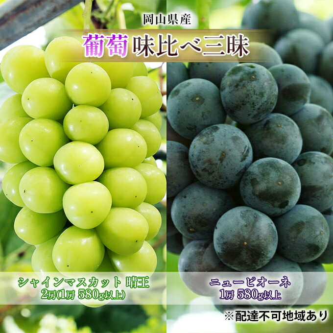 【ふるさと納税】ぶどう 2025年 先行予約 葡萄 味比べ三昧 シャイン マスカット 晴王 2房（1房 580g以上）ニュー ピオーネ  1房 580g以上（露地栽培）詰合せ ブドウ 葡萄  岡山県産 国産 フルーツ 果物 ギフト 　お届け：2025年9月上旬～2025年10月中旬
