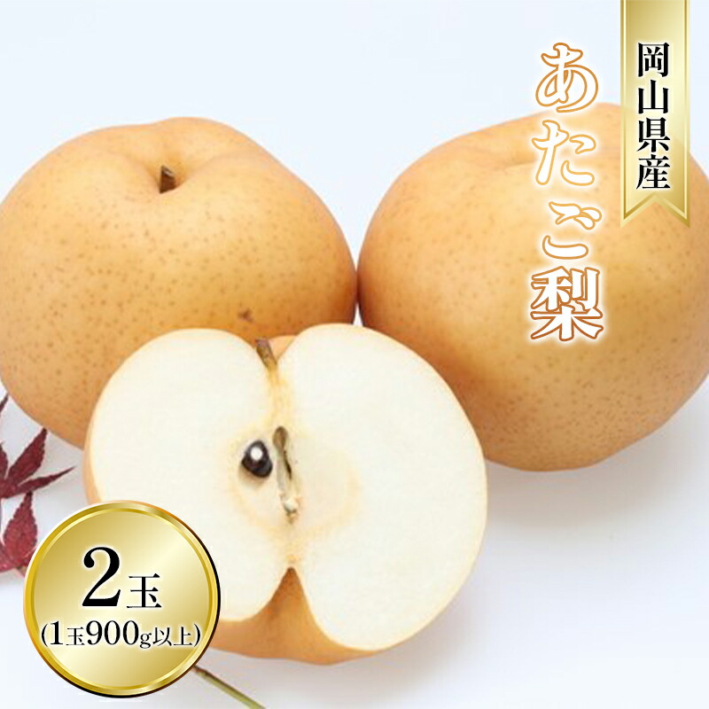 【ふるさと納税】梨 2025年 先行予約 あたご梨 2玉入り（1玉 900g以上） なし ナシ  岡山県産 国産 フルーツ 果物 ギフト 和梨 デザート 食後 日本一の大きさ 大玉 シャリシャリ 　お届け：2025年11月下旬～2025年12月中旬