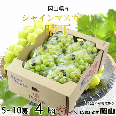 【ふるさと納税】ぶどう 2025年 先行予約 シャイン マスカット 晴王 5房～10房 約4kg 8月下旬～11月下旬発送 ブドウ 葡萄  岡山県産 国産 フルーツ 果物 ギフト 岡山の葡萄 デザート 食後 　お届け：2025年8月下旬～2025年11月下旬