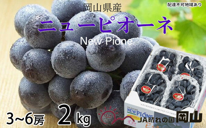 ピオーネ　種無し  約5kg   7房〜11房　ぶどう ピオーネ 種無し 約5kg 7房〜11房 ぶどう