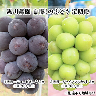 【ふるさと納税】ぶどう 2025年 先行予約 定期便 2回 黒川農園 自慢！の 大粒 大房 ニューピオーネ 2房 シャインマスカット 2房 フルーツ 果物 旬 種なし 糖度18度 岡山県産 　お届け：2025年9月中旬～2025年10月下旬