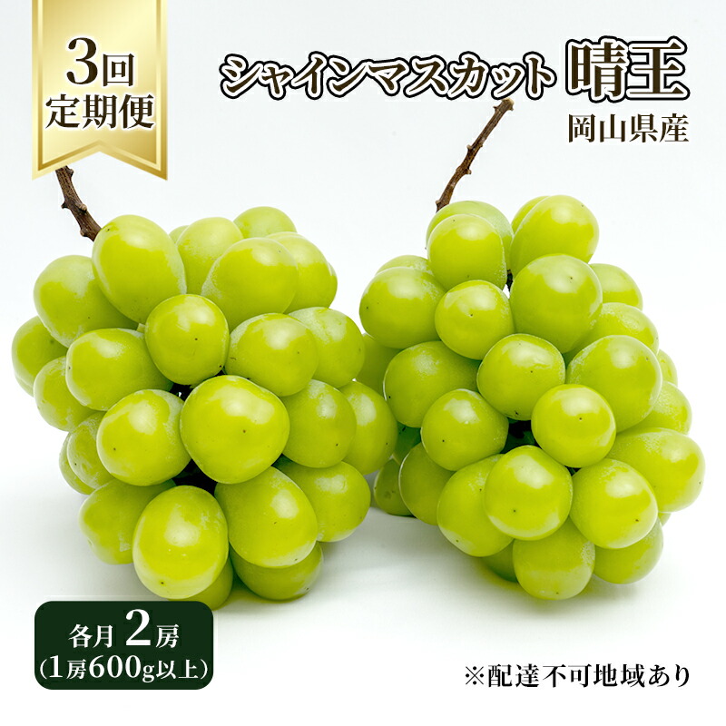 【ふるさと納税】ぶどう 定期便 2025年 先行予約 シャイン マスカット 晴王 各月2房（1房600g以上） 3回コース マスカット ブドウ 葡萄  岡山県産 国産 フルーツ 果物 ギフト 大粒 高級 甘い 弾力 　お届け：2025年8月下旬～2025年10月下旬