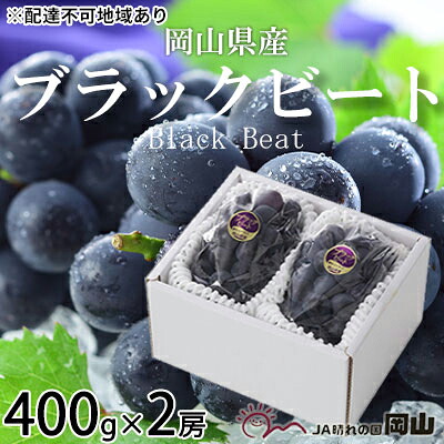 【ふるさと納税】ぶどう 2026年 先行予約 ブラックビート 約400g&times;2房 岡山県産 国産 フルーツ 果物 ギフト ぶどう ブドウ 葡萄 ブラックビート 種なし 大粒 黒ぶどう 甘い ジューシー 産地直送 冷蔵 数量限定 お届け：2026年8月中旬～2026年9月上旬｜岡山県瀬戸内市