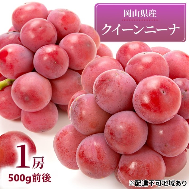 【ふるさと納税】ぶどう 2026年 先行予約 クイーンニーナ 1房 500g前後 ブドウ 葡萄 岡山県産 国産 フルーツ 果物 ギフト 　お届け：2026年9月上旬～2026年9月下旬