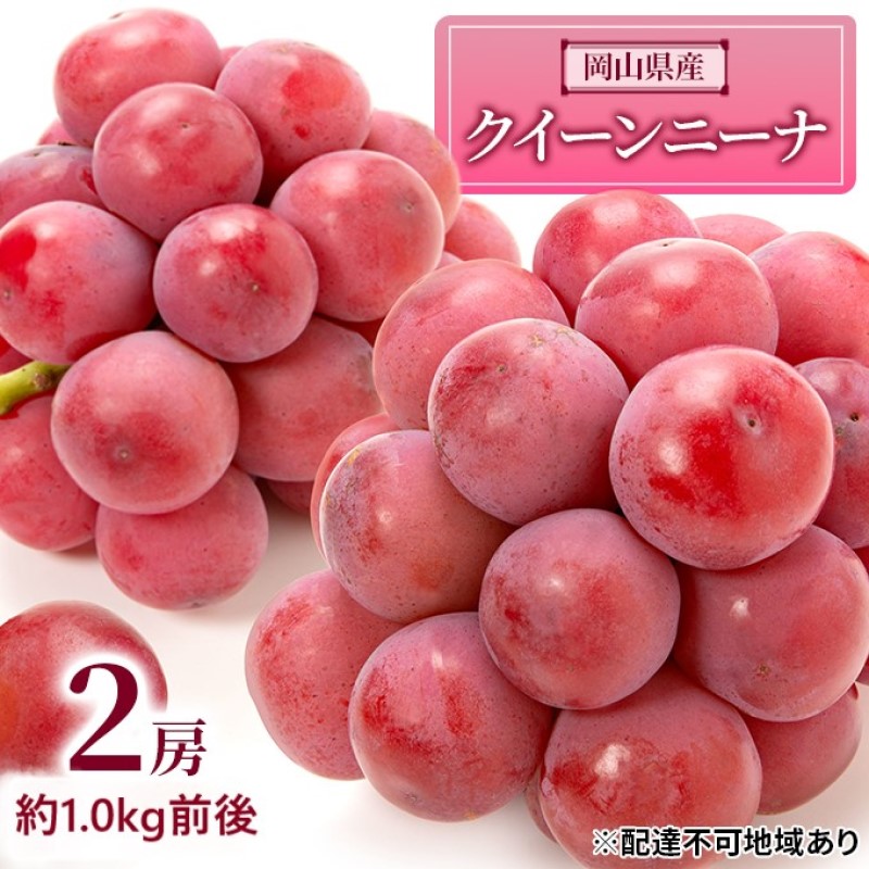 【ふるさと納税】ぶどう 2026年 先行予約 クイーンニーナ 2房 約1.0kg前後 ブドウ 葡萄 岡山県産 国産 フルーツ 果物 ギフト 　お届け：2026年9月上旬～2026年9月下旬 23,360円