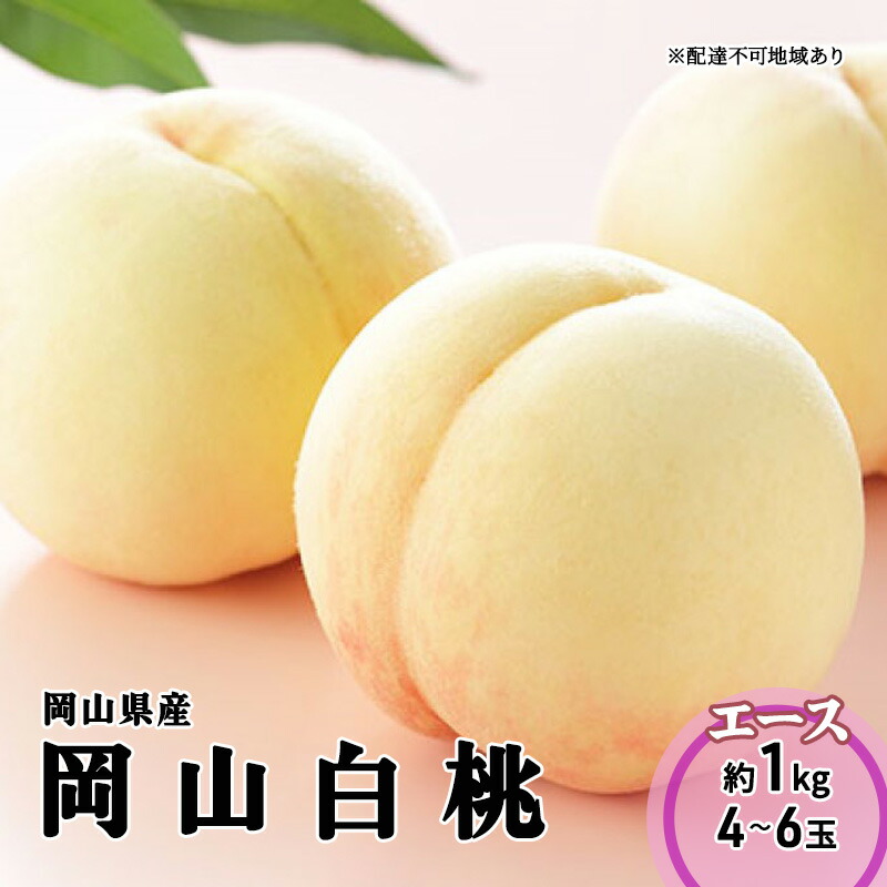 【ふるさと納税】桃 2026 年先行予約 岡山 白桃 エース 4～6玉 1kg 岡山県産 JAおかやまのもも モモ 岡山県産 国産 フルーツ 果物 ギフト 　お届け：2026年8月上旬～2026年8月下旬｜岡山県瀬戸内市