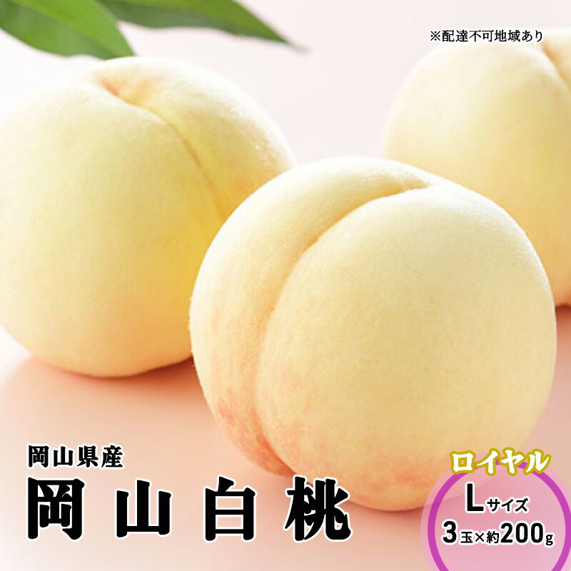 【ふるさと納税】桃 2025年 先行予約 岡山 白桃 ロイヤル 3玉×200g（Lサイズ） 岡山県産 JAおかやまのもも モモ 岡山県産 国産 フルーツ 果物 ギフト 　お届け：2025年7月上旬～2025年8月下旬