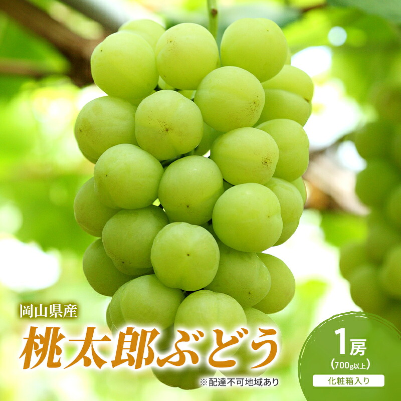 【ふるさと納税】ぶどう 2026年 先行予約 桃太郎ぶどう 1房(700g以上) 化粧箱入り ブドウ 葡萄 岡山県産 国産 フルーツ 果物 ギフト　お届け：2026年7月下旬～2026年9月上旬｜岡山県瀬戸内市