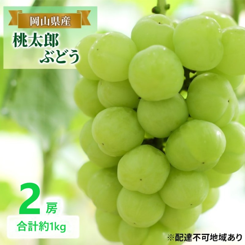 【ふるさと納税】ぶどう 【2026年 早期受付】 桃太郎ぶどう 2房 合計約1kg ブドウ 葡萄 岡山県産 国産 フルーツ 果物 ギフト お届け:2026年8月中旬~2026年10月下旬