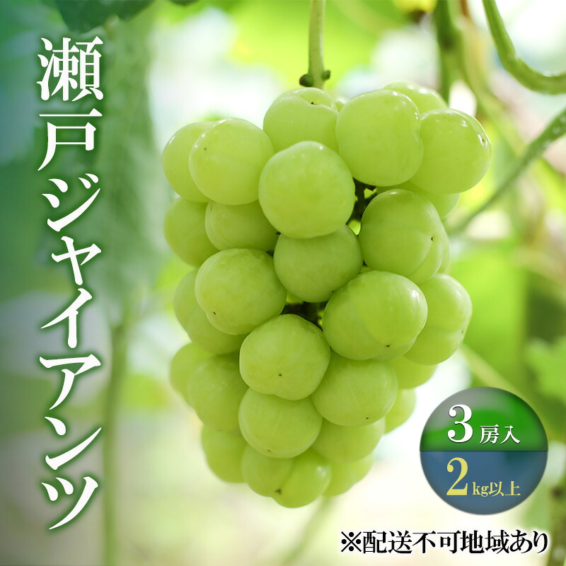 【ふるさと納税】ぶどう 【2026年 先行予約】 瀬戸ジャイアンツ 3房(合計2kg以上) ブドウ 葡萄 岡山県産 国産 フルーツ 果物 ギフト 河本農園　お届け：2026年9月上旬～2026年9月30日｜岡山県瀬戸内市