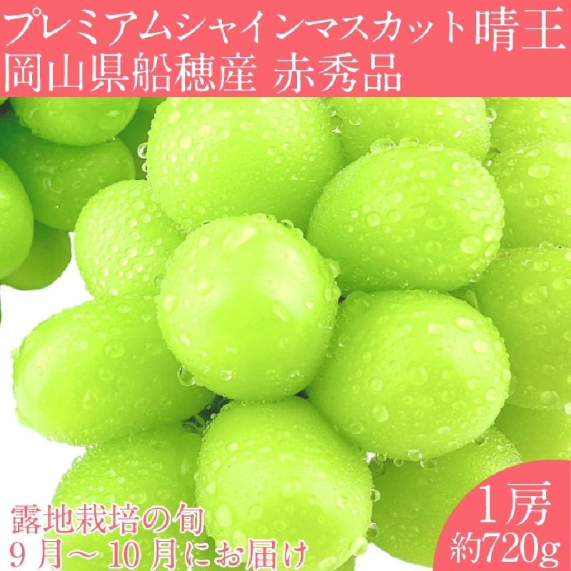 【ふるさと納税】【2025年 予約受付中】 プレミアム シャインマスカット 晴王 1房約720g/ 岡山県 船穂産 赤秀品 種無し 皮ごと食べる みずみずしい 9月10月にお届け フレッシュ 晴れの国 おかやま 果物大国 彩美菜果 岡山県 瀬戸内市 お届け：2025年9月中旬～2025年10月下旬｜岡山県瀬戸内市