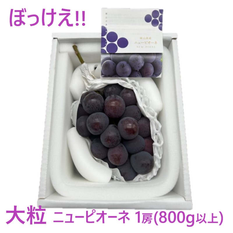 【ふるさと納税】ぶどう 2026年 先行予約 ぼっけえ 大粒 ニューピオーネ 1房(800g以上) 化粧箱入り ブドウ 葡萄 岡山県産 国産 フルーツ 果物 ギフト　お届け：2026年9月中旬～2026年10月中旬