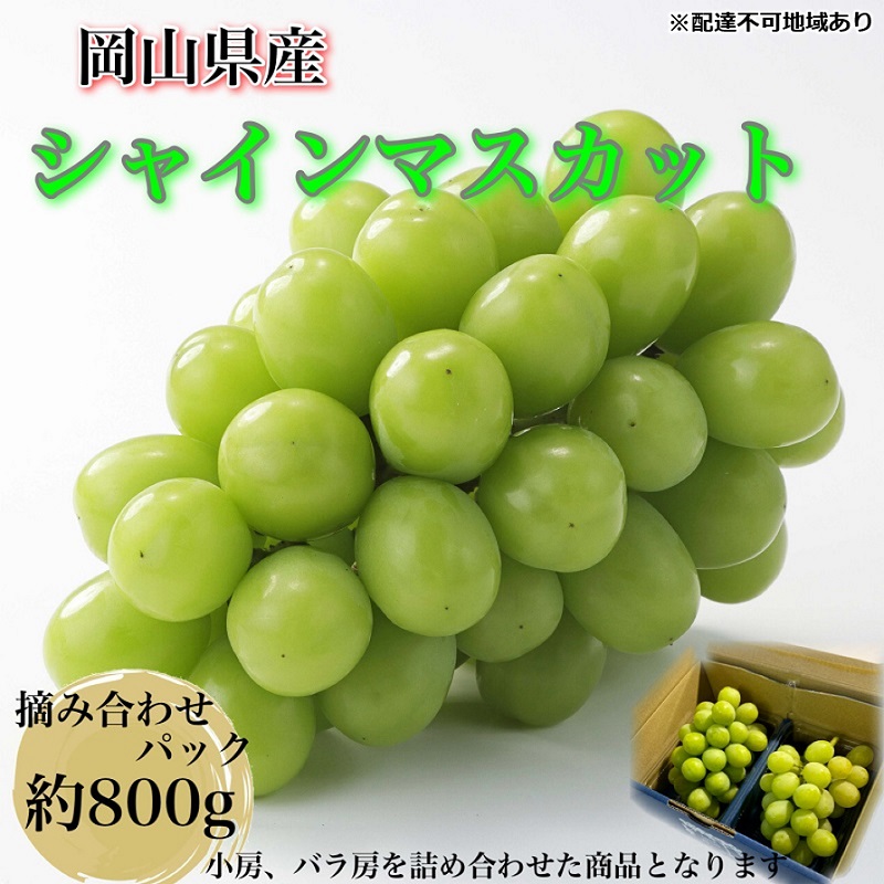 【ふるさと納税】ぶどう 2026年 先行予約 【平均糖度20度】農家こだわりの シャインマスカット ご家庭用パック 合計約800g ブドウ 葡萄 岡山県産 国産 フルーツ 果物 家庭用 パック シャインマスカット 【 Nini farm 農家 直送 】　お届け：2026年9月1日～2026年10月25日｜岡山県瀬戸内市