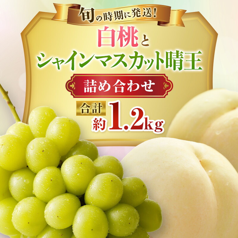 【ふるさと納税】【2026年先行受付】 白桃 シャインマスカット 晴王 約1.2kg セット 桃 2玉 ぶどう 1房 岡山県産 御中元 ギフト 御礼 プレゼント 御礼 御祝 御供 果物 くだもの フルーツ もも モモ 葡萄 ブドウ お届け:2026年7月上旬~2026年8月上旬|岡山県瀬戸内市
